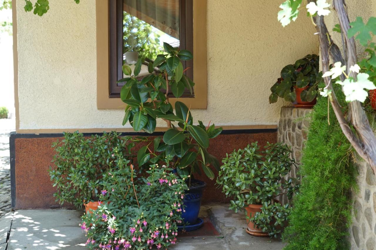 Casa Ciortea Ana Sibiel Luaran gambar