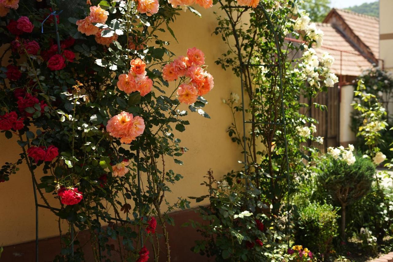 Casa Ciortea Ana Sibiel Luaran gambar