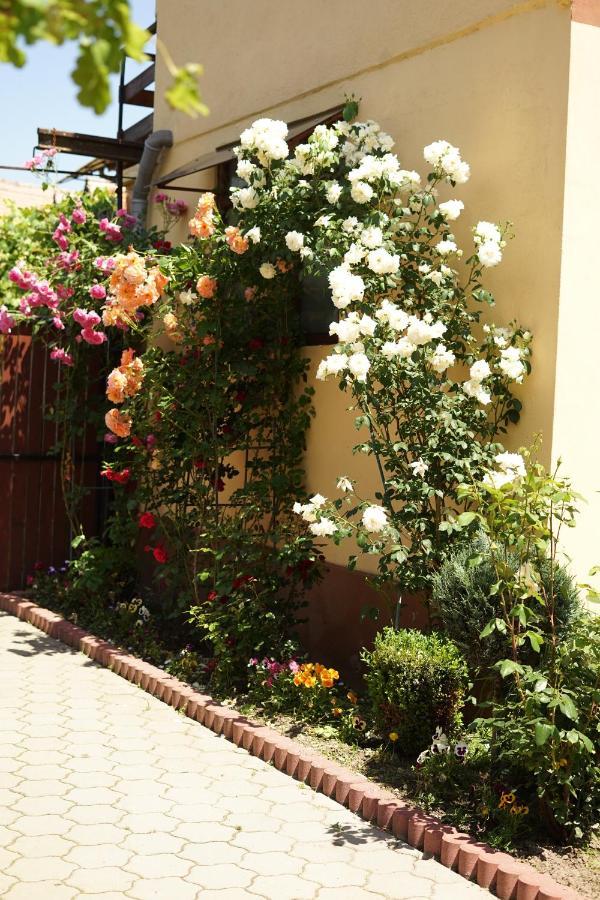 Casa Ciortea Ana Sibiel Luaran gambar